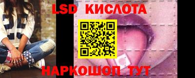 эйфоретик Кингисепп