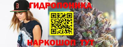 меф Кимры