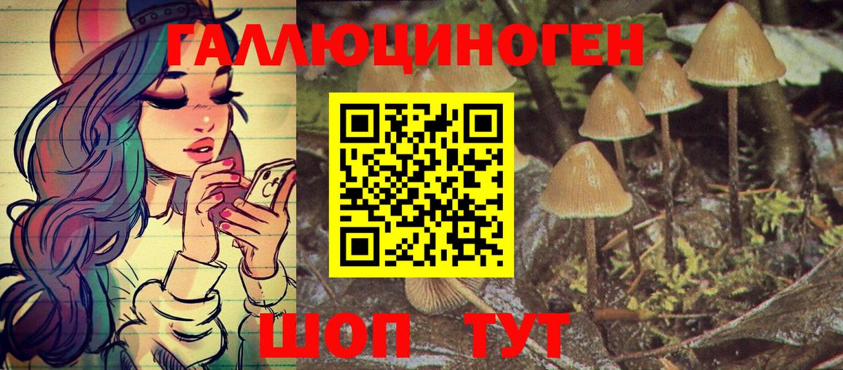 Канаш  Псилоцибиновые грибы Psilocybine cubensis  Вход с VPN 