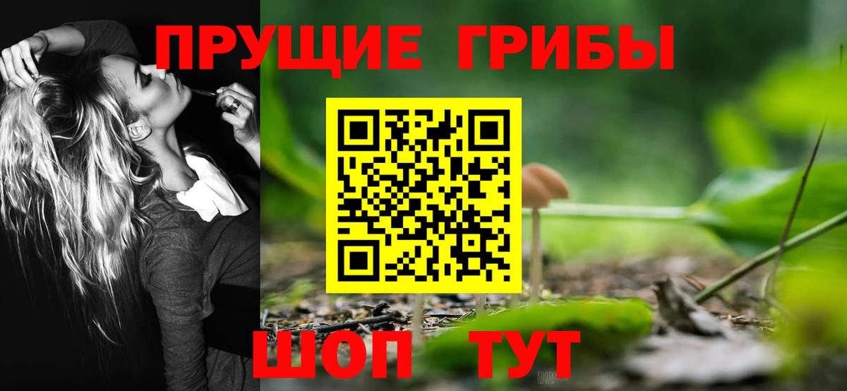 Галлюциногенные грибы Psilocybine cubensis Канаш